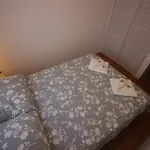 Nikola 诺维·维诺多尔斯基